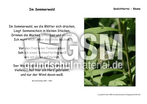 Im-Sommerwald-Dauthendey.pdf